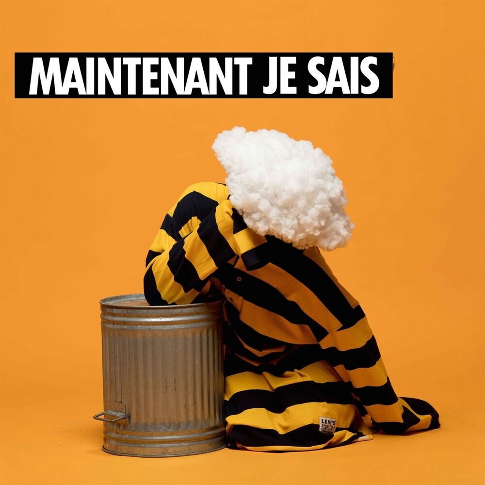 Picture of Maintenant je sais