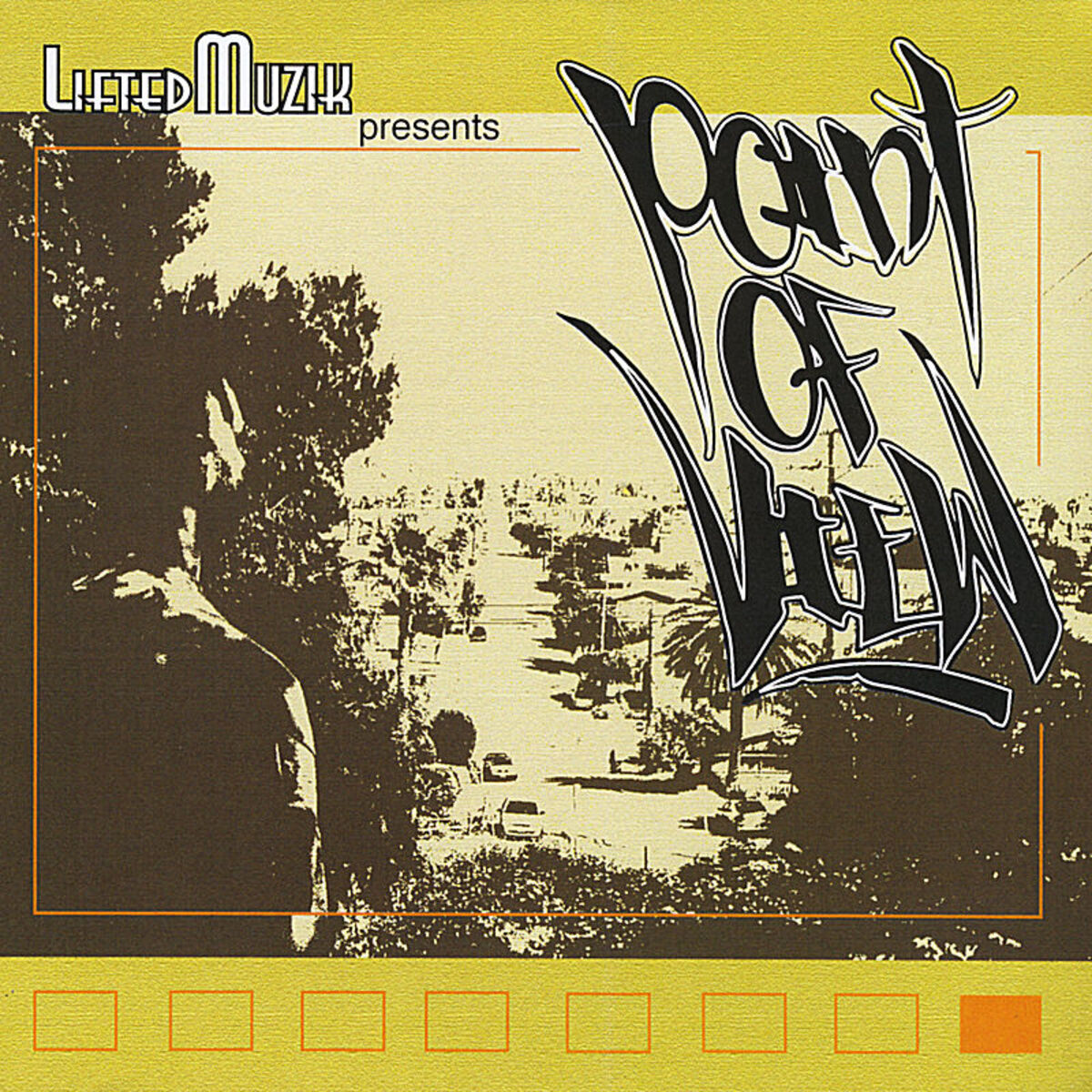 Album cover of Point of View