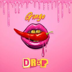 Cover of Drip