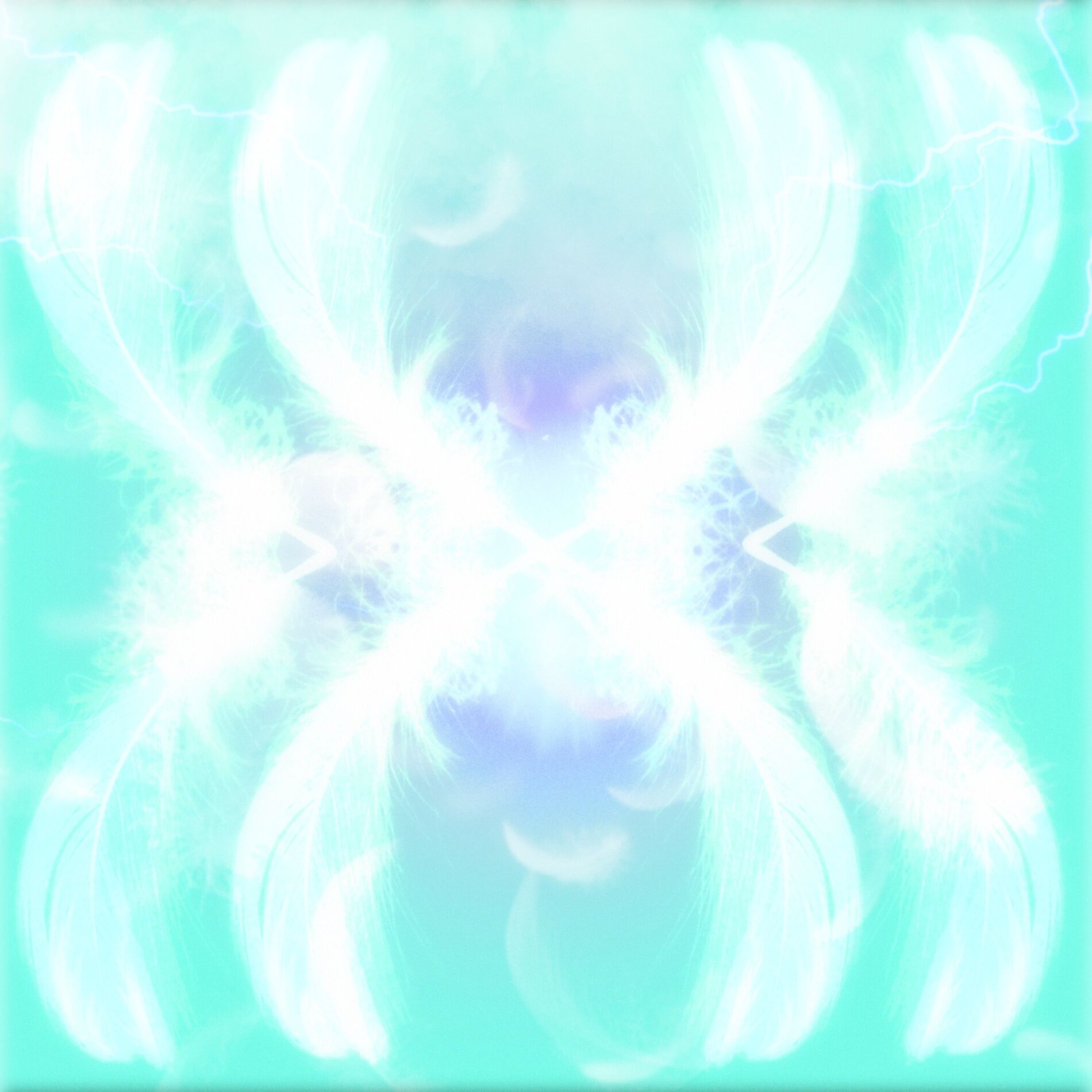 Album cover of Fly