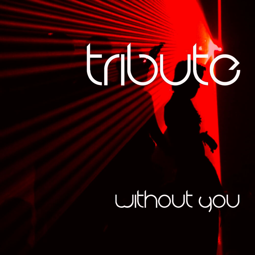 Picture of Without You (David Guetta feat. Usher Cover) - Single