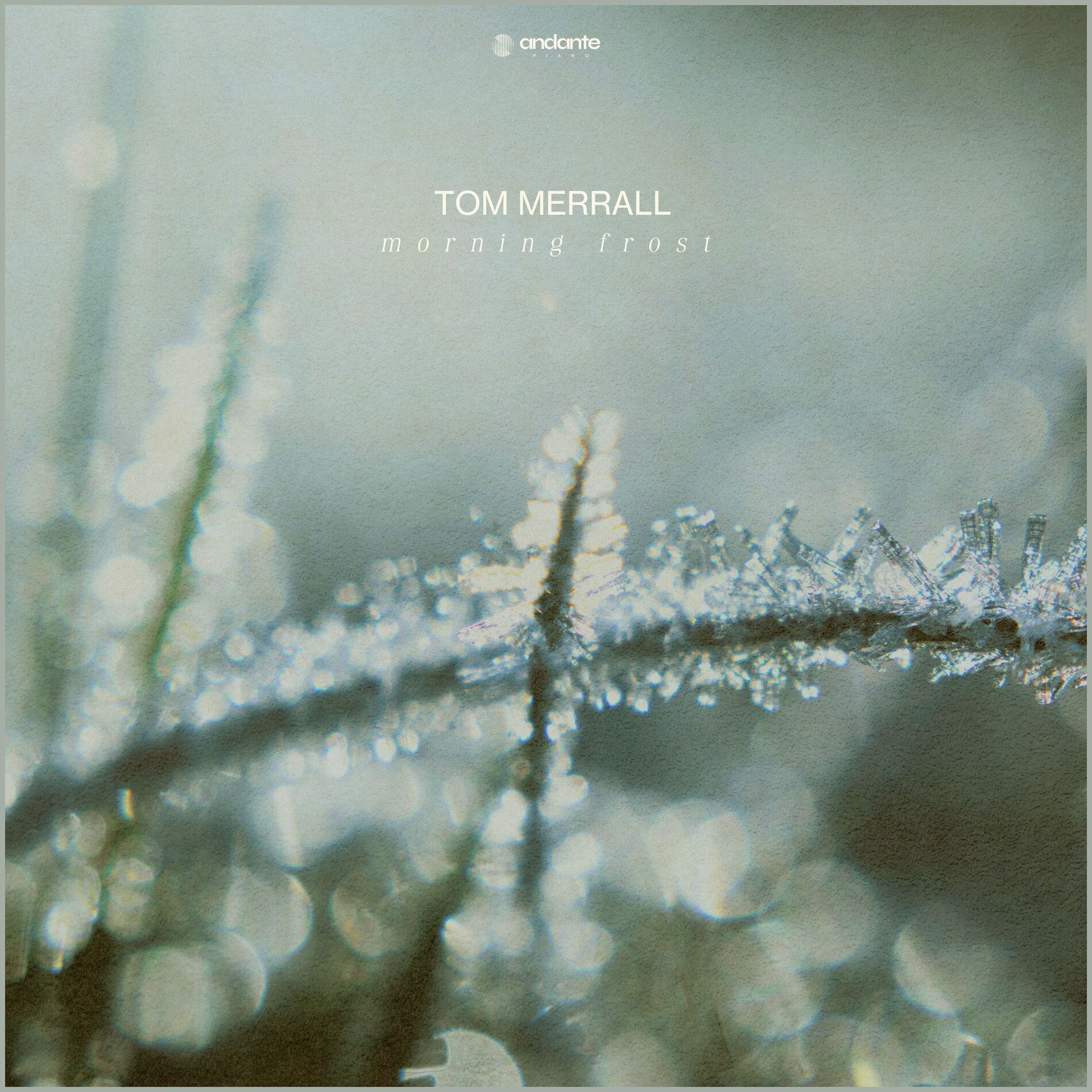 Album cover of Morning Frost