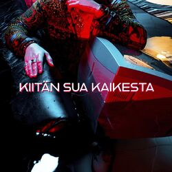 Cover of Kiitän sua kaikesta