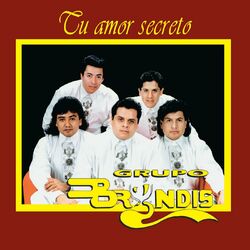 Cover of Tu Amor Secreto