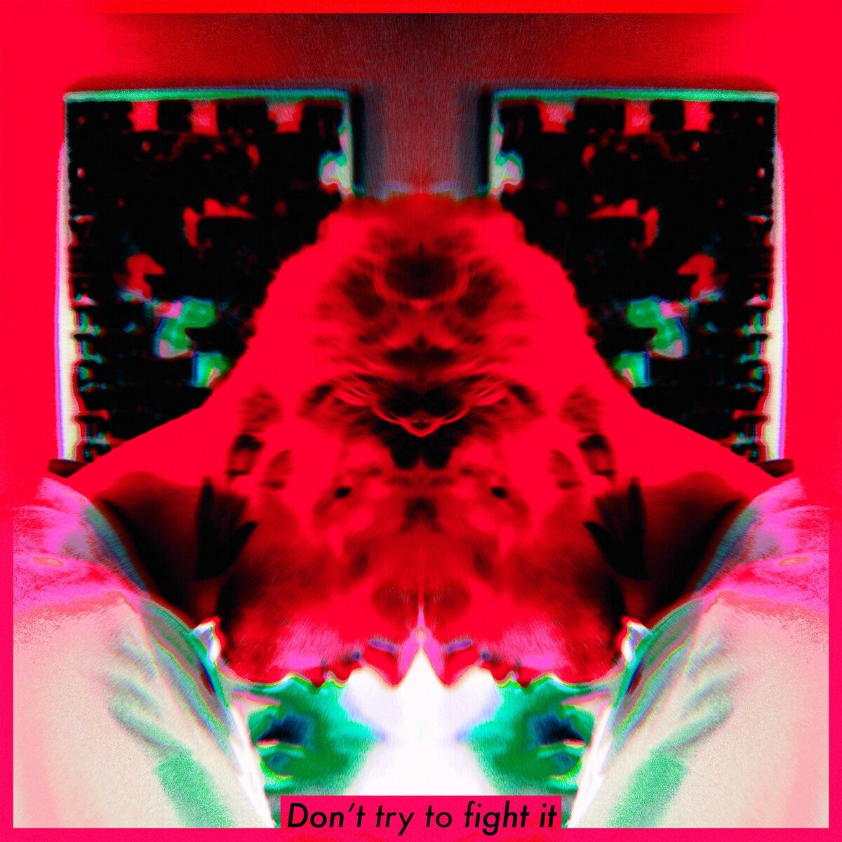 Album cover of Don't Try to Fight It