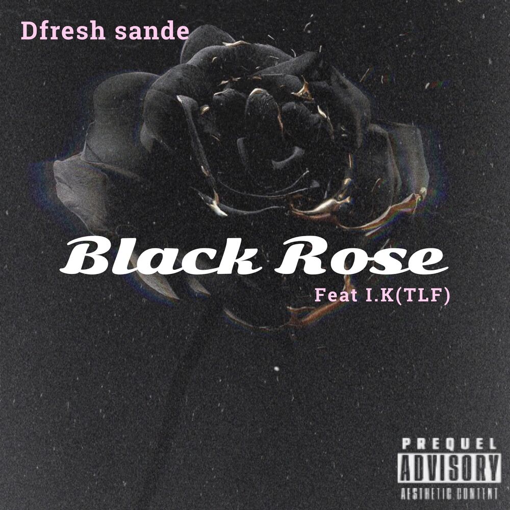 Picture of Black Rose
