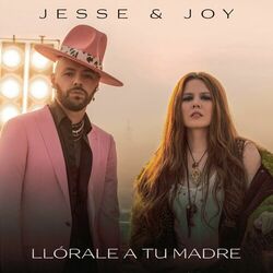Cover of Llórale a tu madre