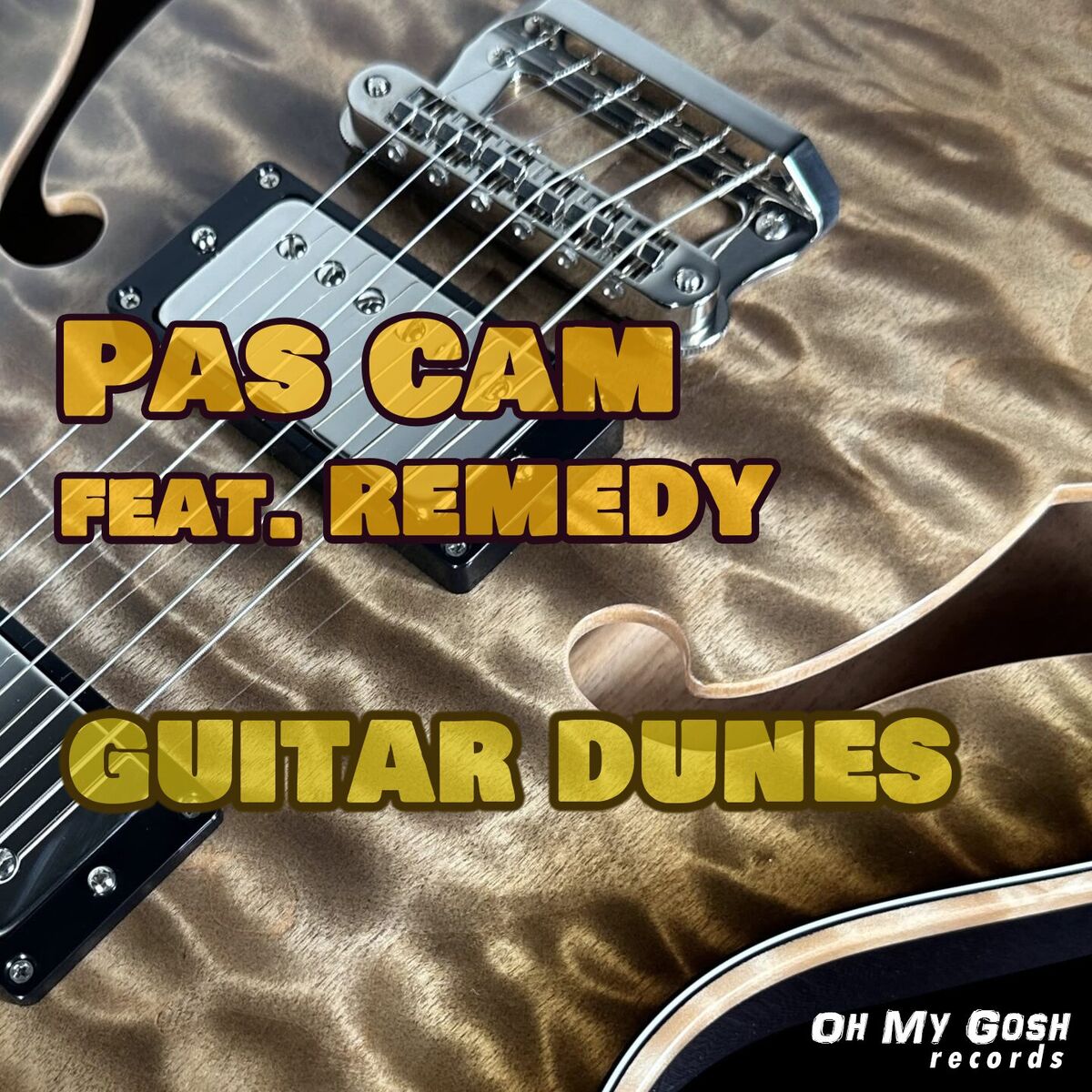 Album cover of Guitar dunes