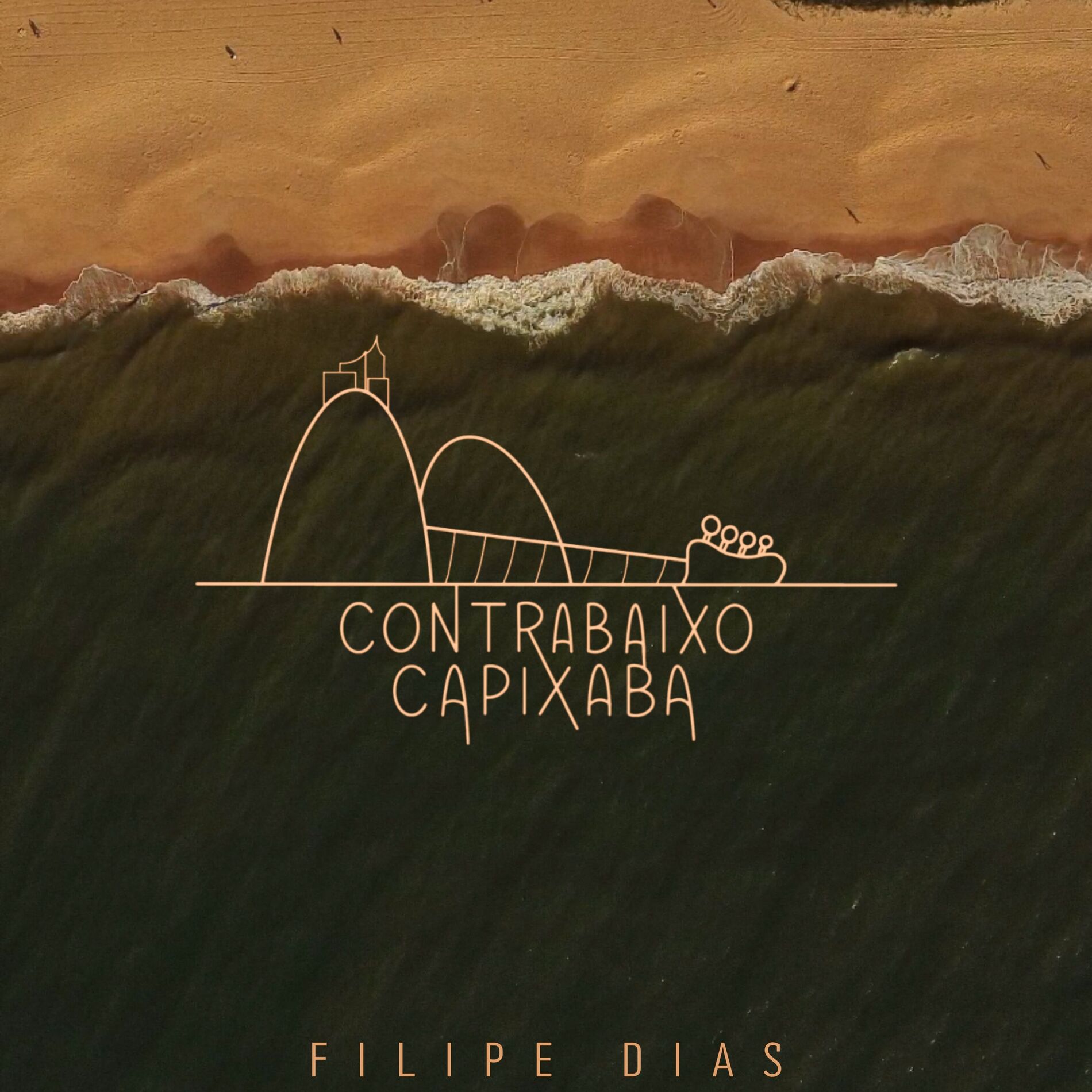 Album cover of Contrabaixo Capixaba