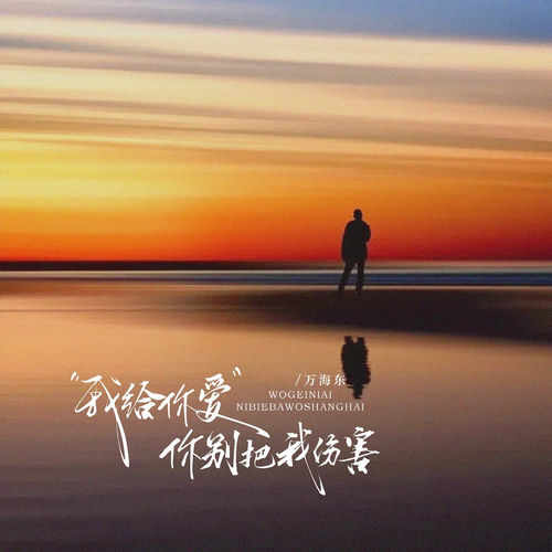 我给你爱你别把我伤害(DJ九零版)