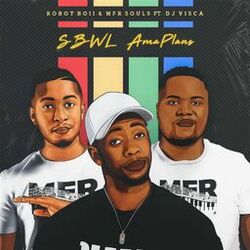 Cover of Sbwl Amaplans