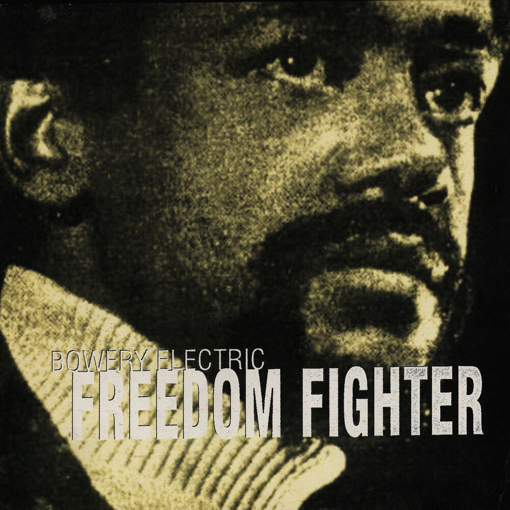 Picture of Freedom Fighter