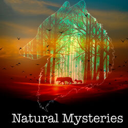 Cover of Natural Mysteries