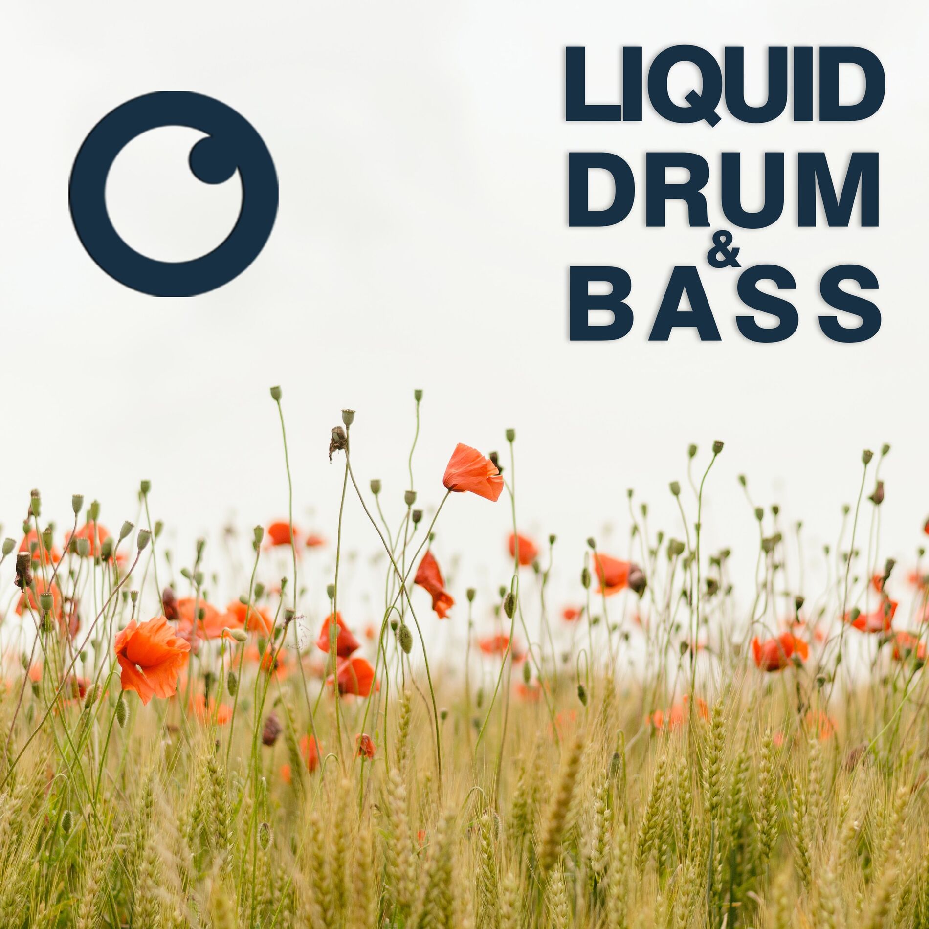 Album cover of Liquid Drum & Bass Sessions 2021 Vol 43