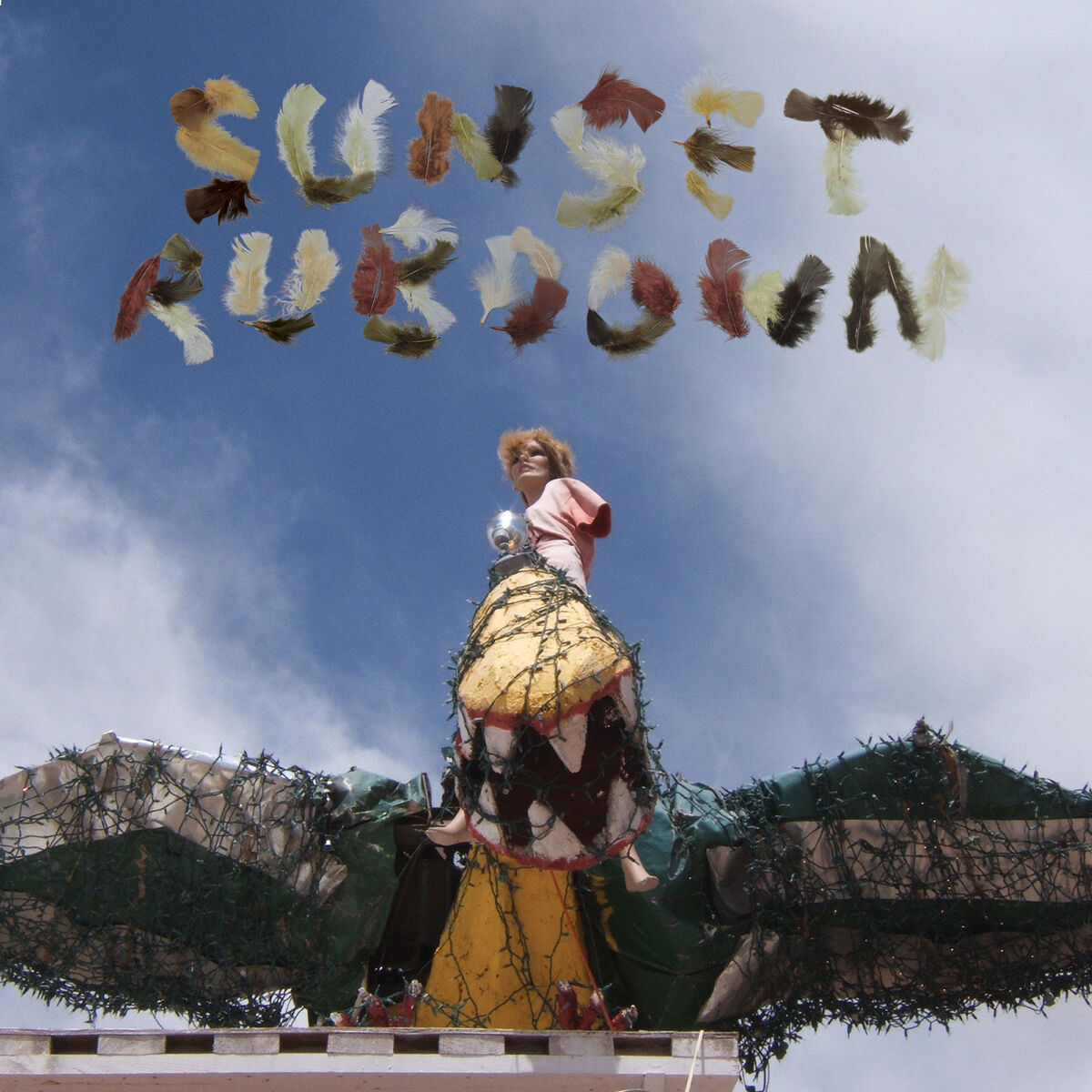Album cover of Idiot Heart