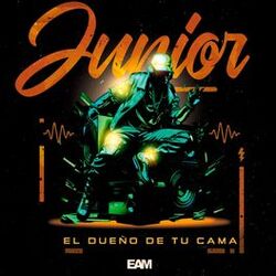 Cover of El Dueño de Tu Cama