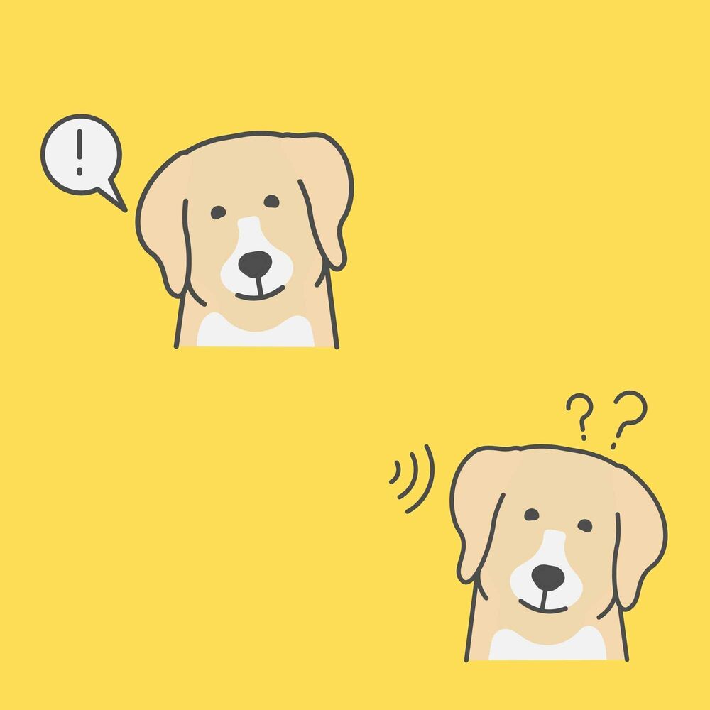 Picture of Feelings for Resting Hound