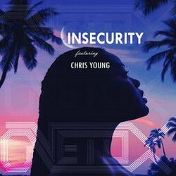 Cover of Insecurity