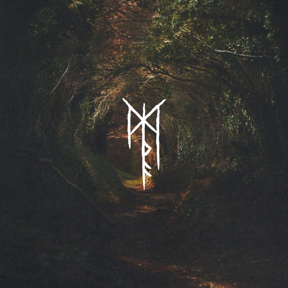 Mystical Trees cover