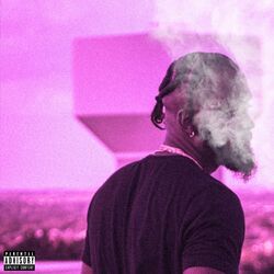Cover of $lowed Jamz Too