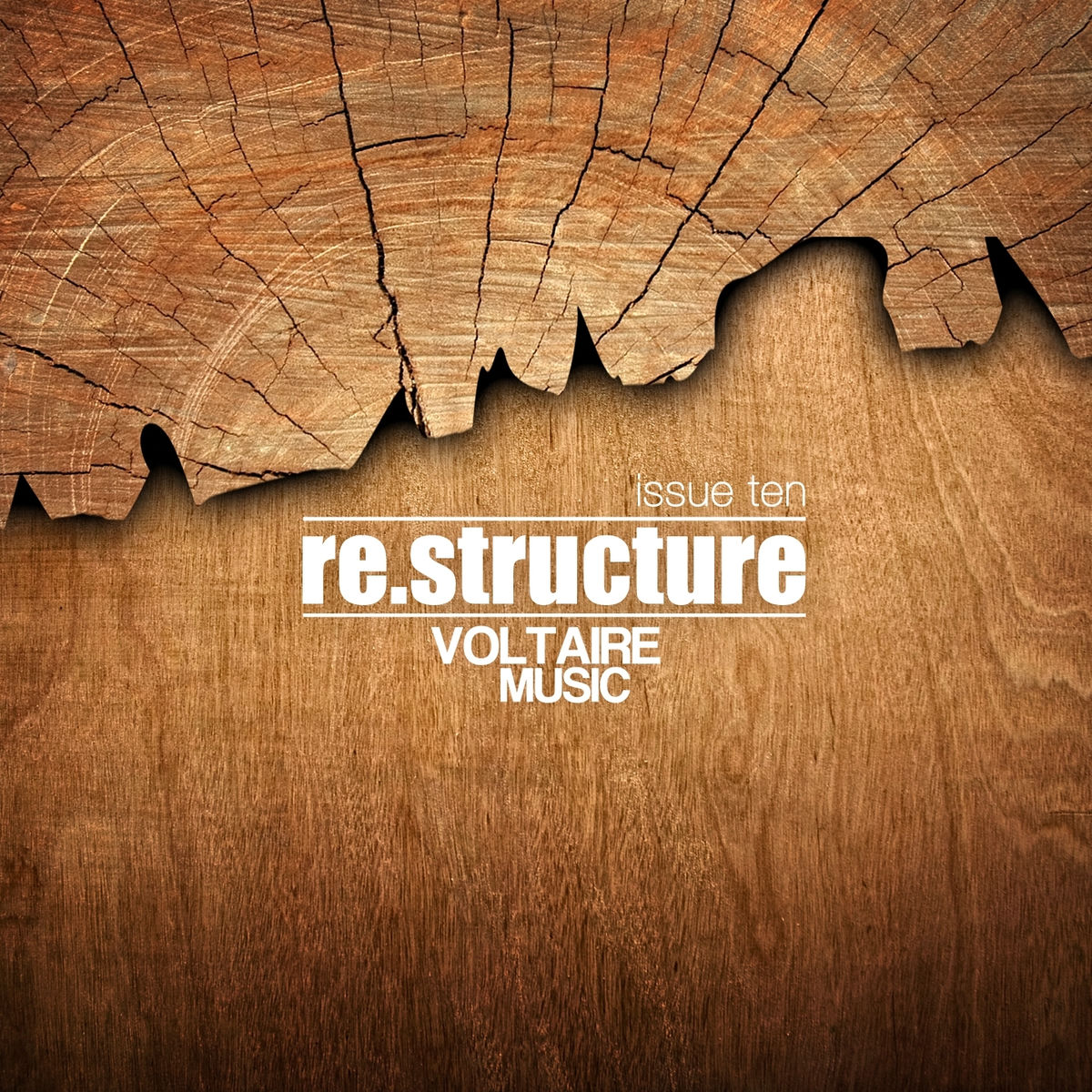 Album cover of Re:Structure Issue Ten