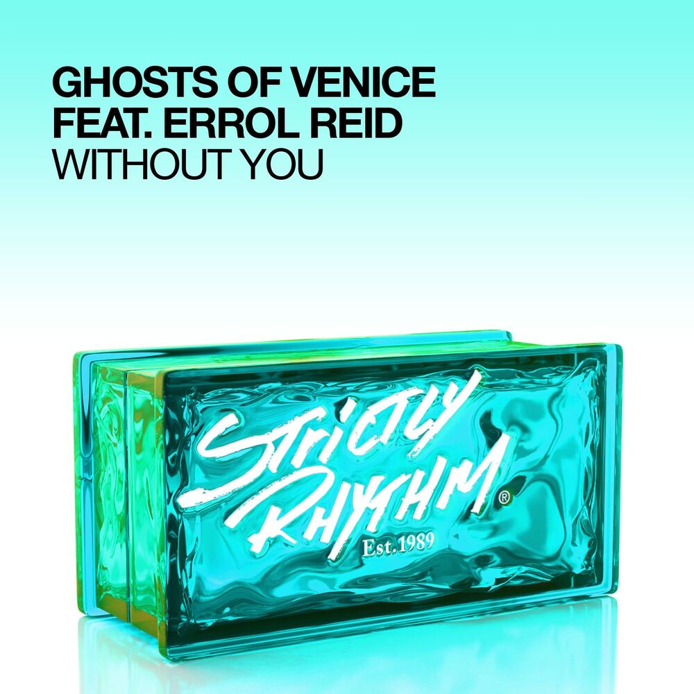 Picture of Without You (feat. Errol Reid)