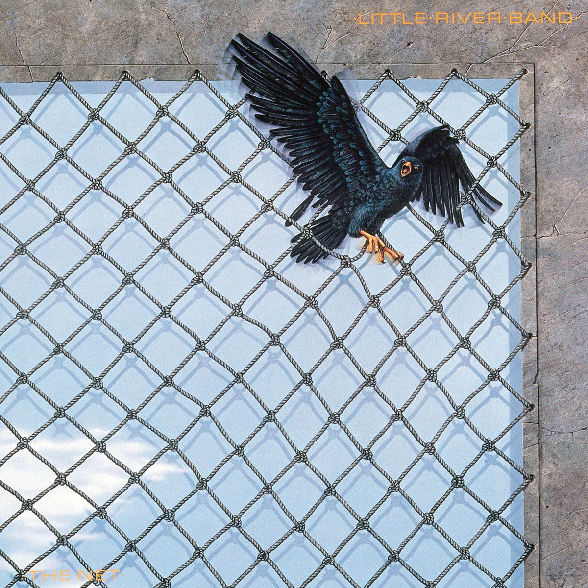 Album cover of The Net (Remastered 2022)