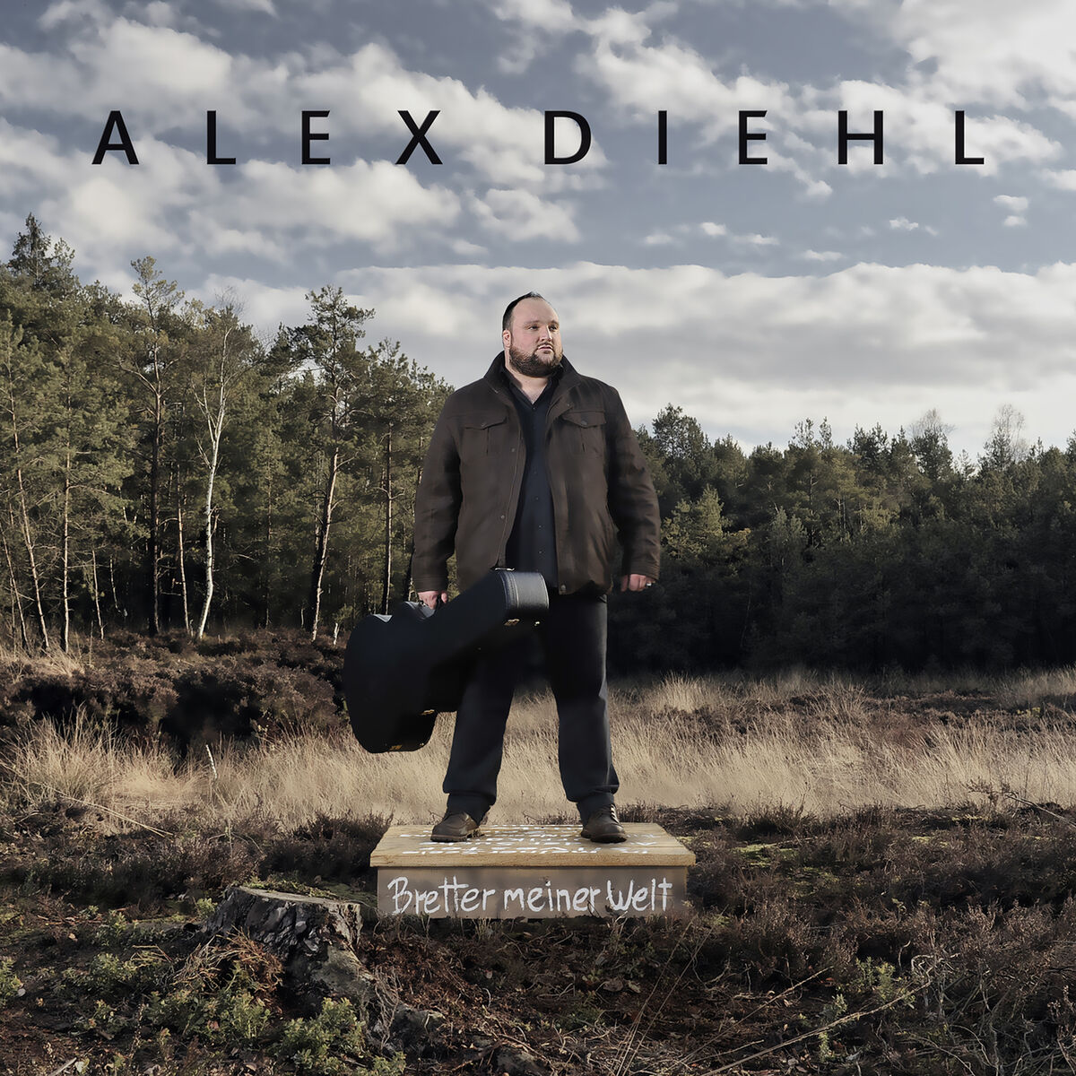 Album cover of Bretter meiner Welt
