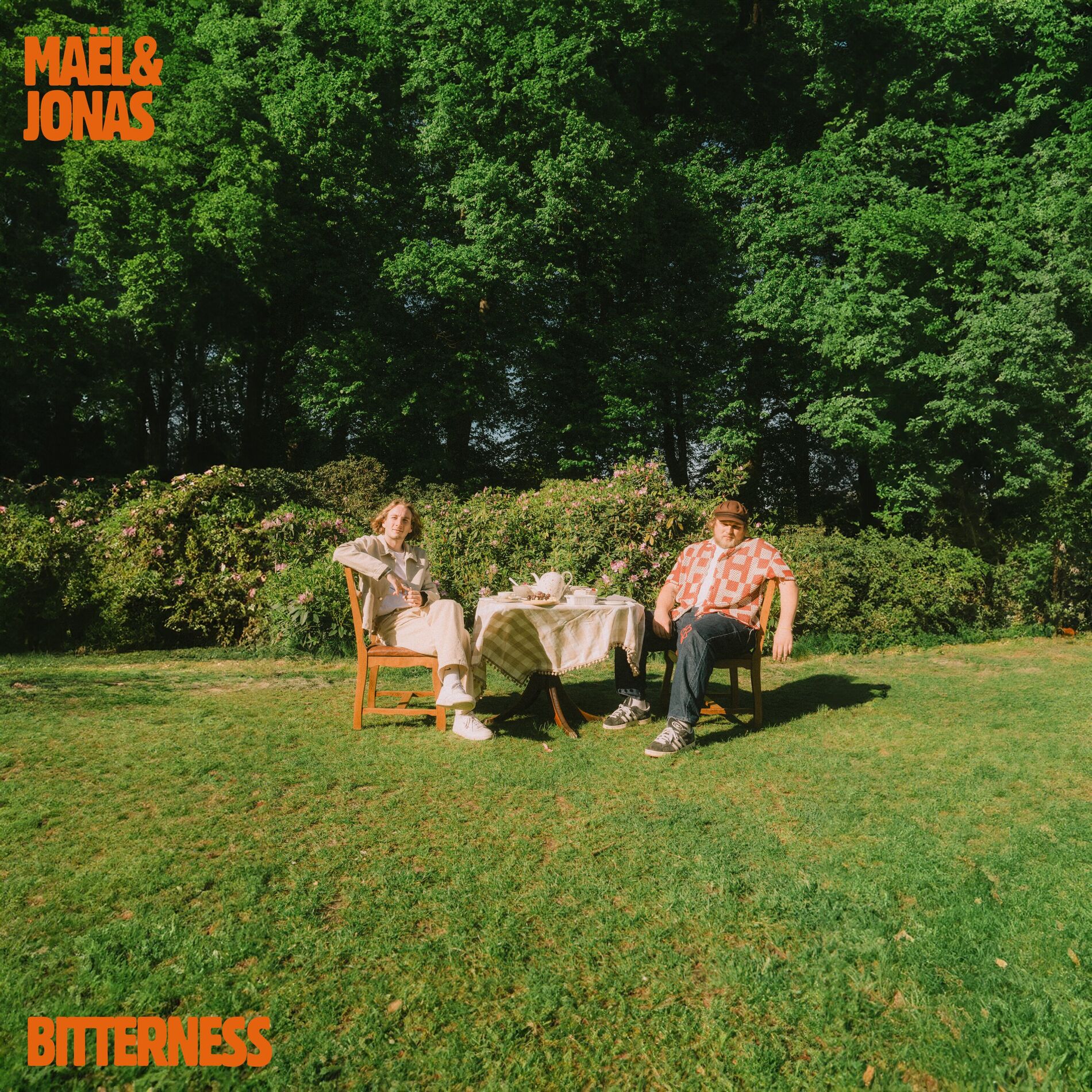 Album cover of bitterness