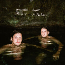 Cover of Manic Upswings