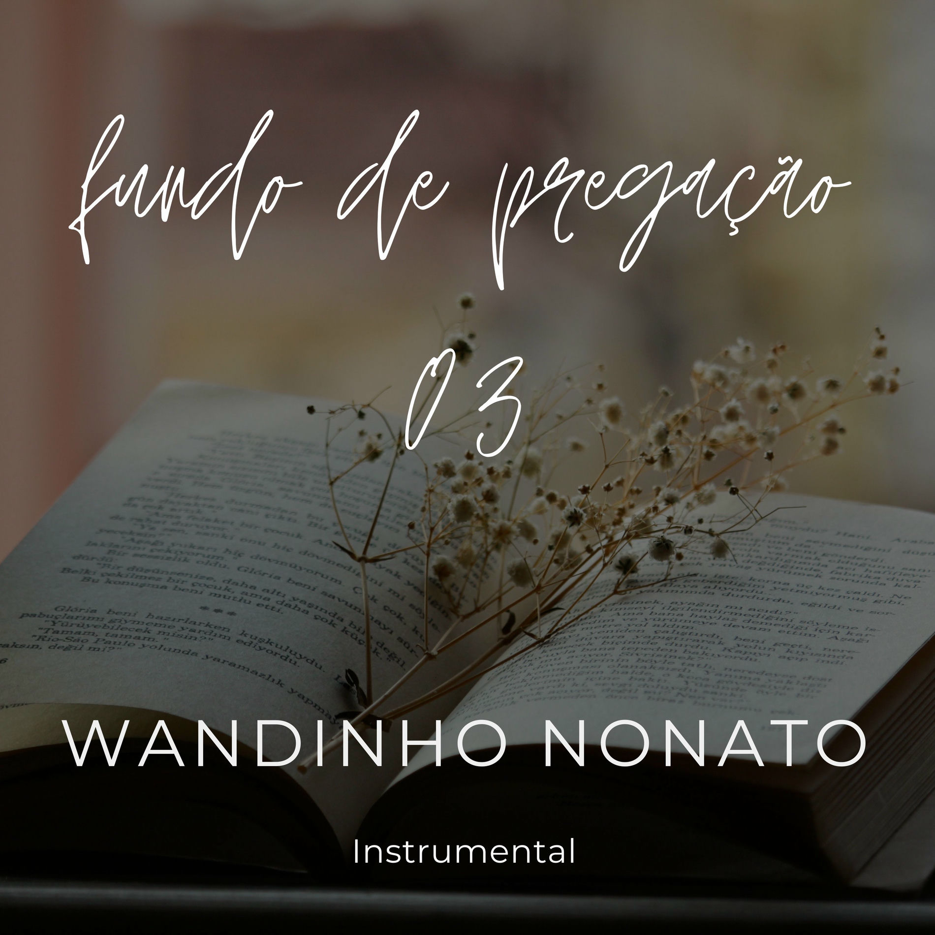 Album cover of Fundo de Pregação 03