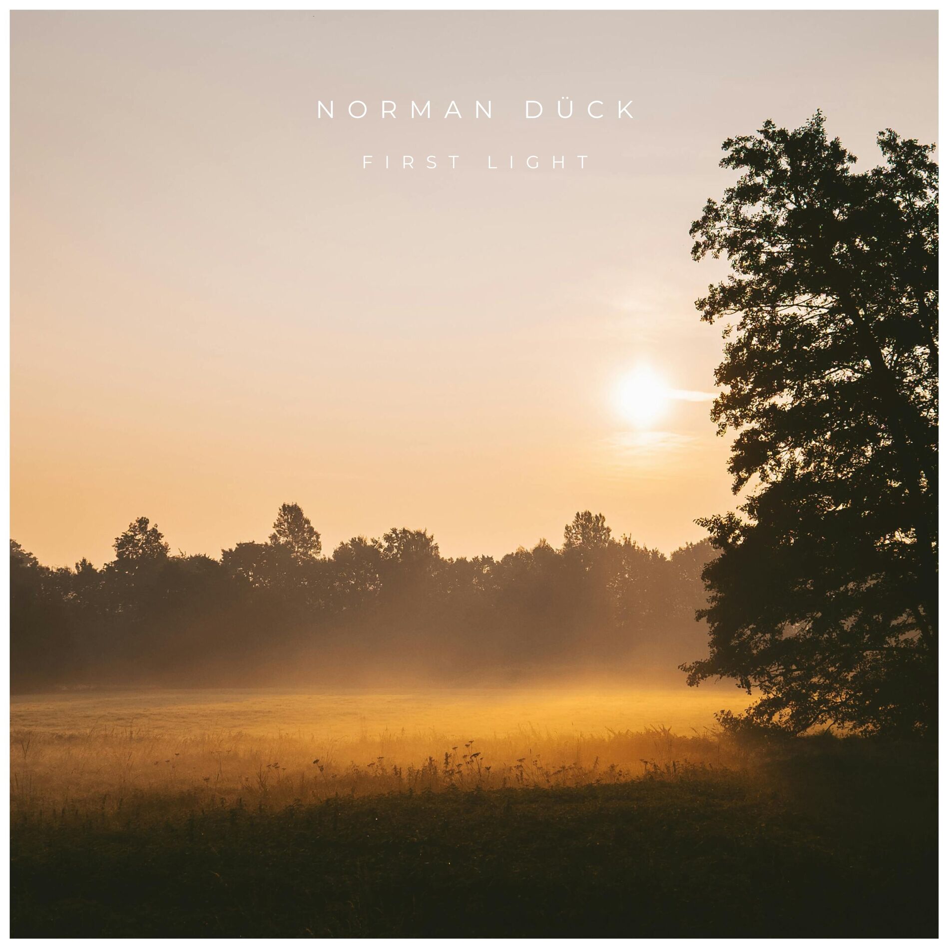 Album cover of First Light