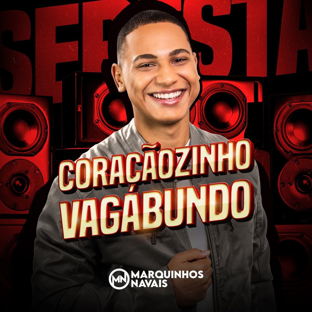 Album cover of Coraçãozinho Vagabundo