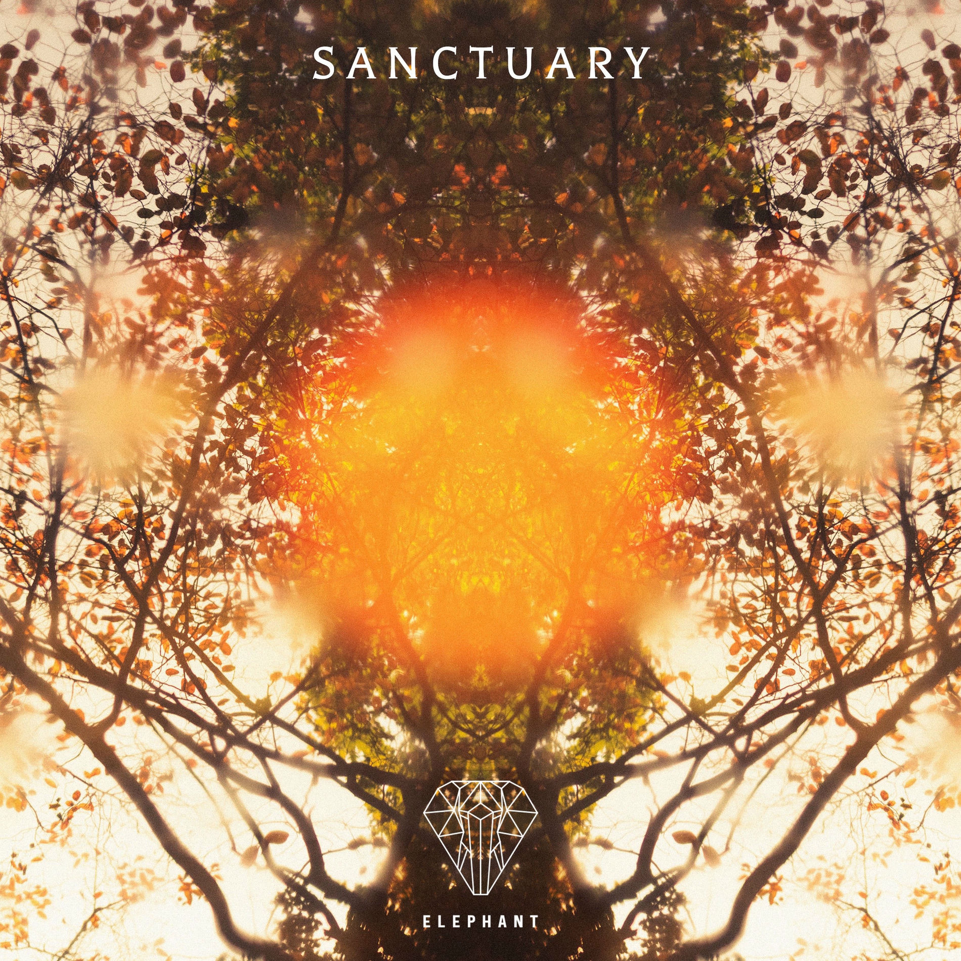 Album cover of Sanctuary