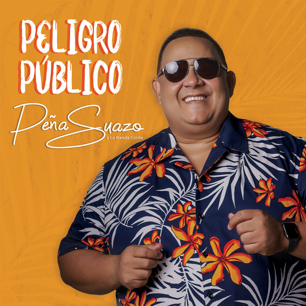 Picture of Peligro Público