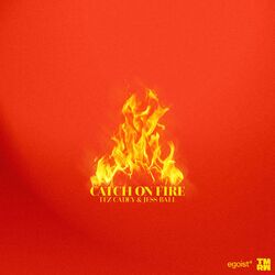 Cover of Catch On Fire
