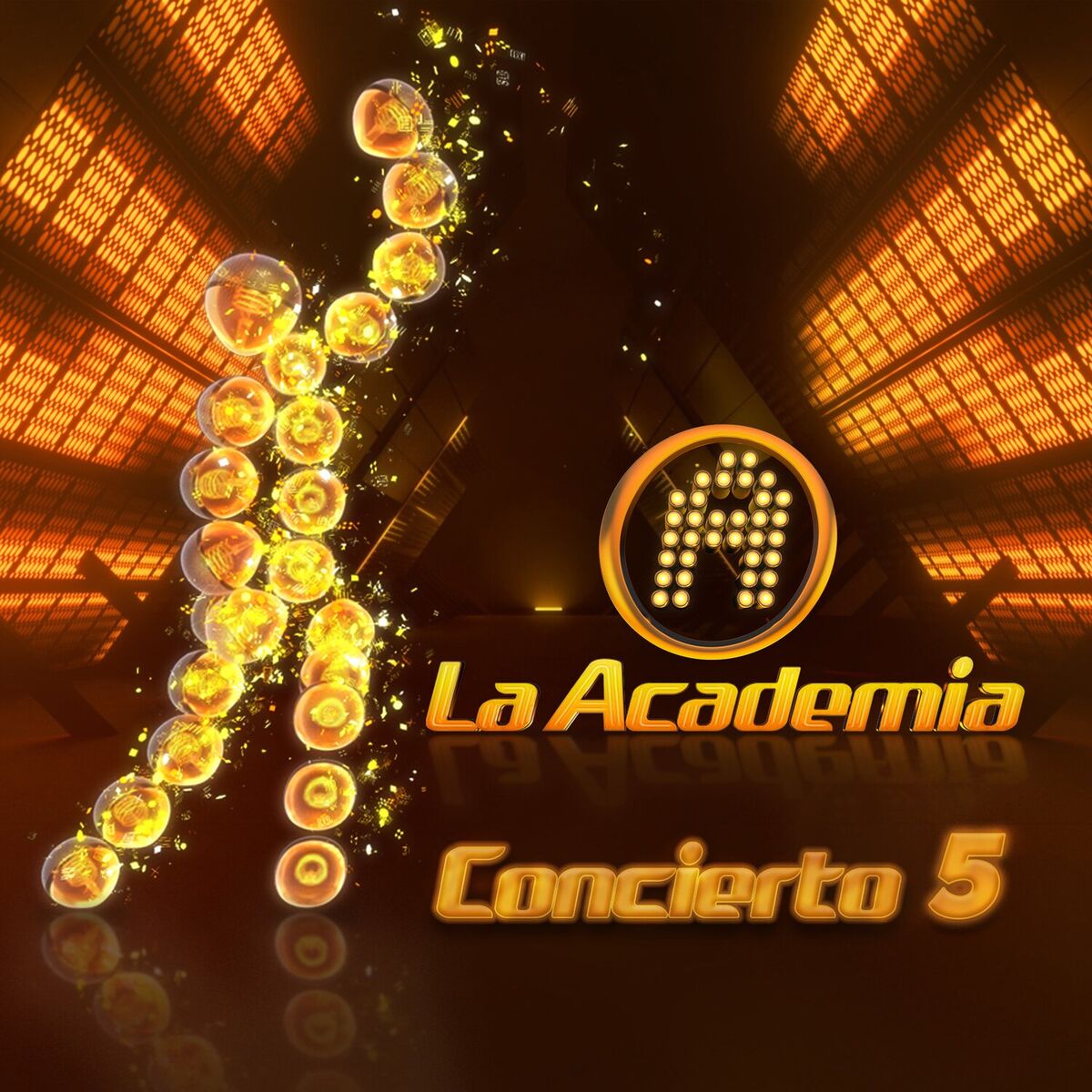 Album cover of Concierto 5 (En Vivo)