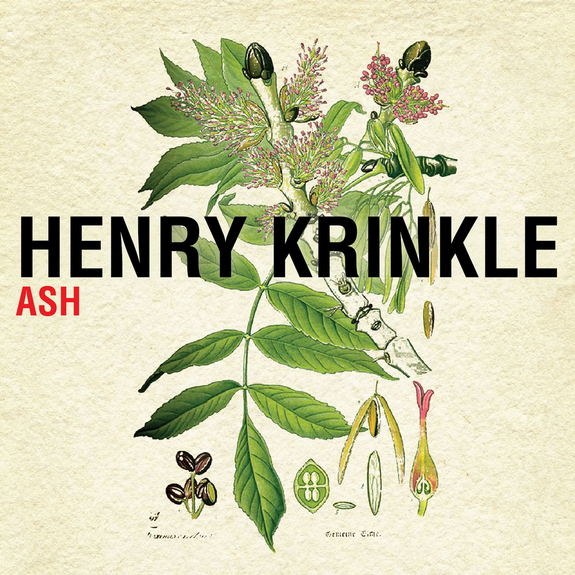 Album cover of Ash