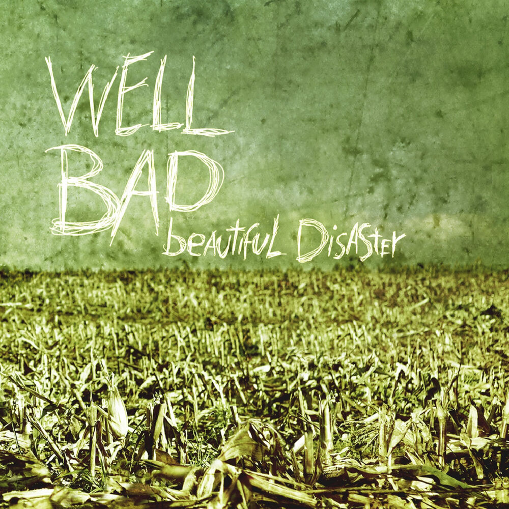 Picture of Beautiful Disaster