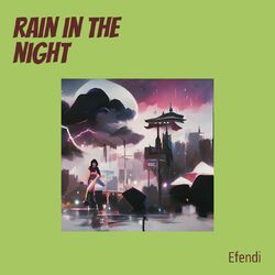 Cover of Rain in the Night