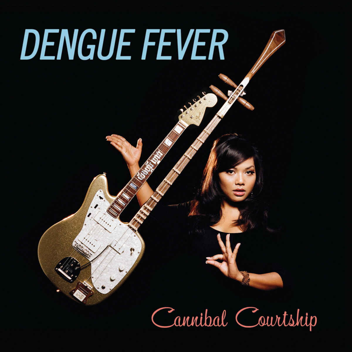 Album cover of Cannibal Courtship