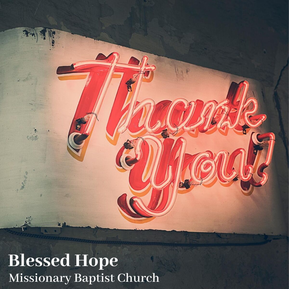 Album cover of Thank You (Live)