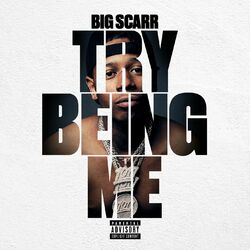 Cover of Try Being Me