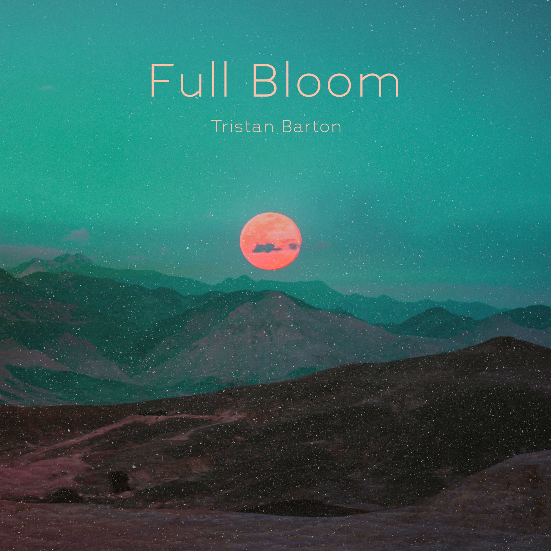 Album cover of Full Bloom