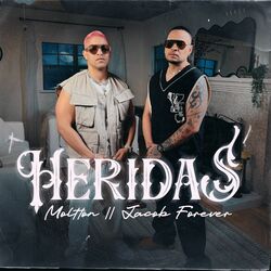 Cover of Heridas