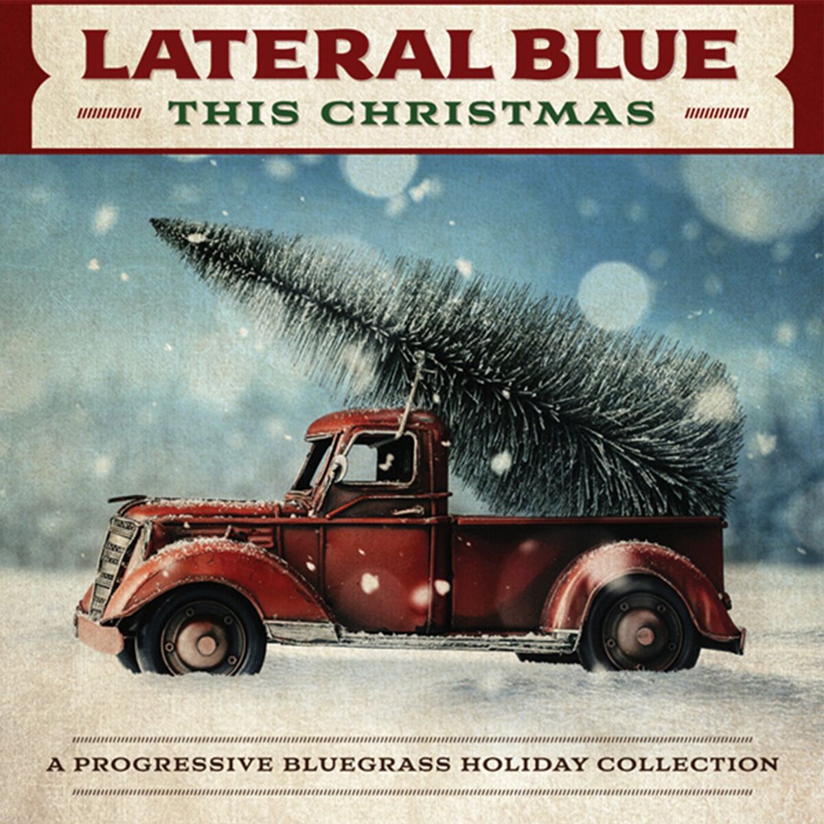 Album cover of This Christmas: A Progressive Bluegrass Holiday Collection