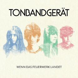 Cover of Wenn das Feuerwerk landet