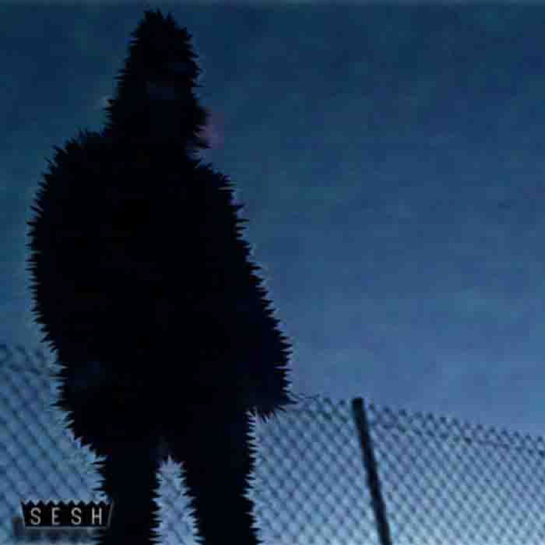 Album cover of it's just a few (feat. BONES)