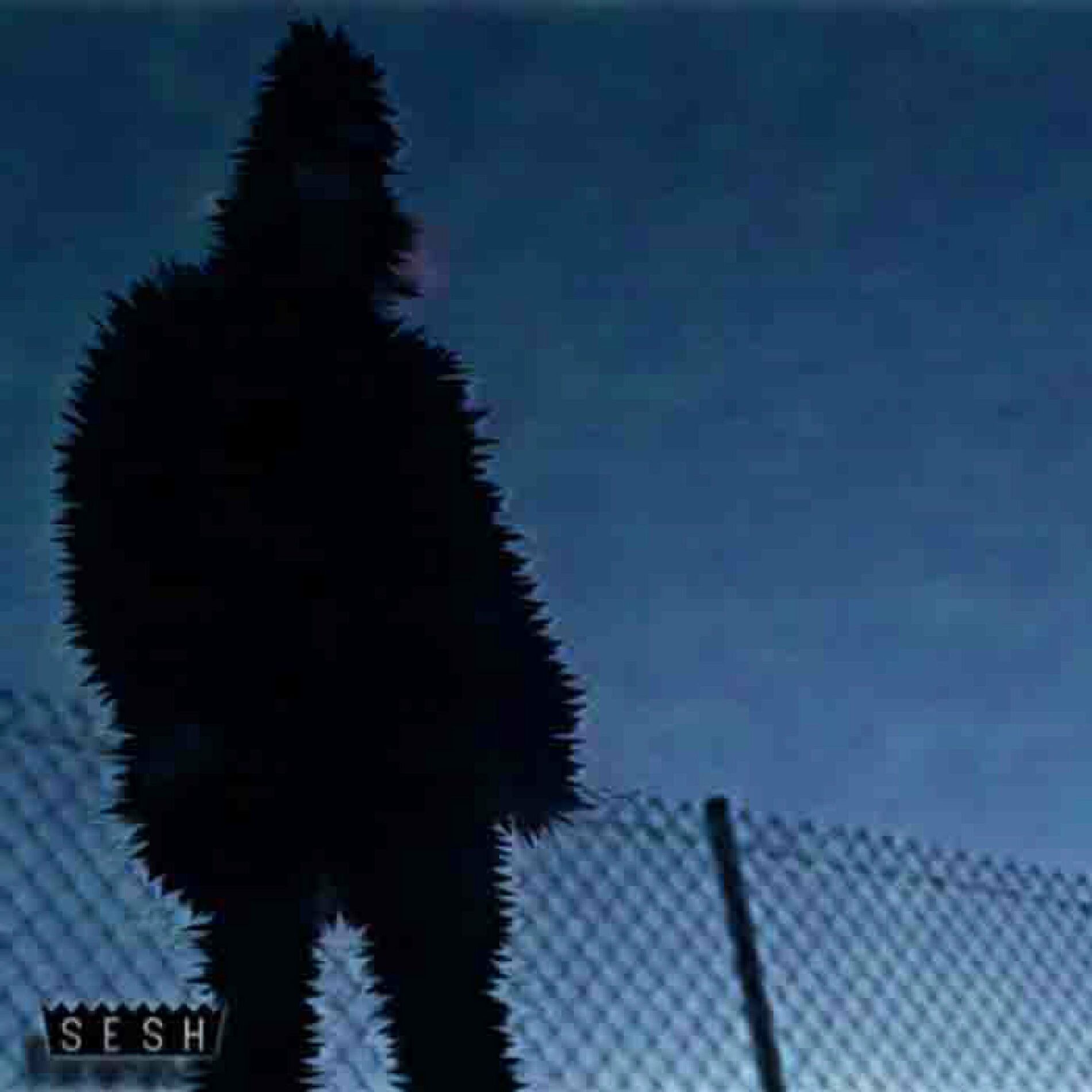 Album cover of eutaxy