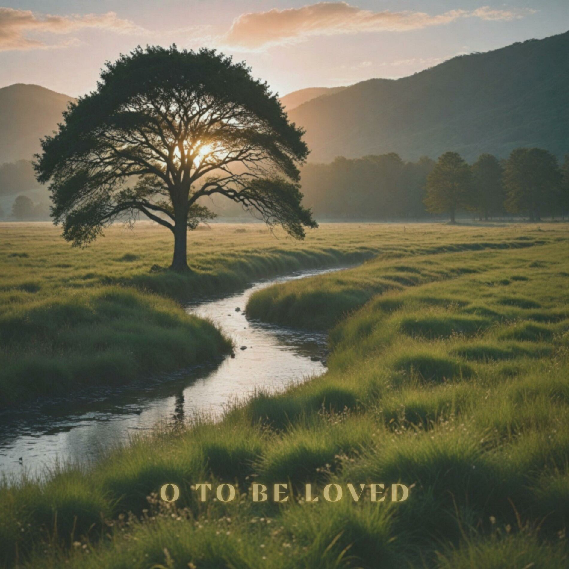 Album cover of O to Be Loved